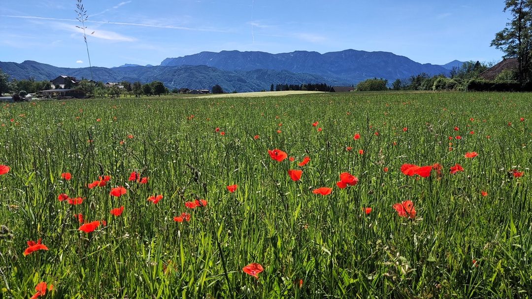 Wegbeschreibung - Panoramaweg