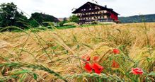 Hotel Haberl am Attersee im Herbst